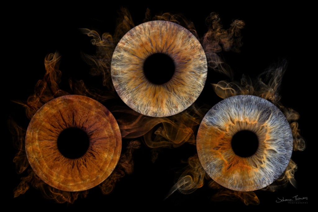 Photo d'iris trio au studio à Nancy