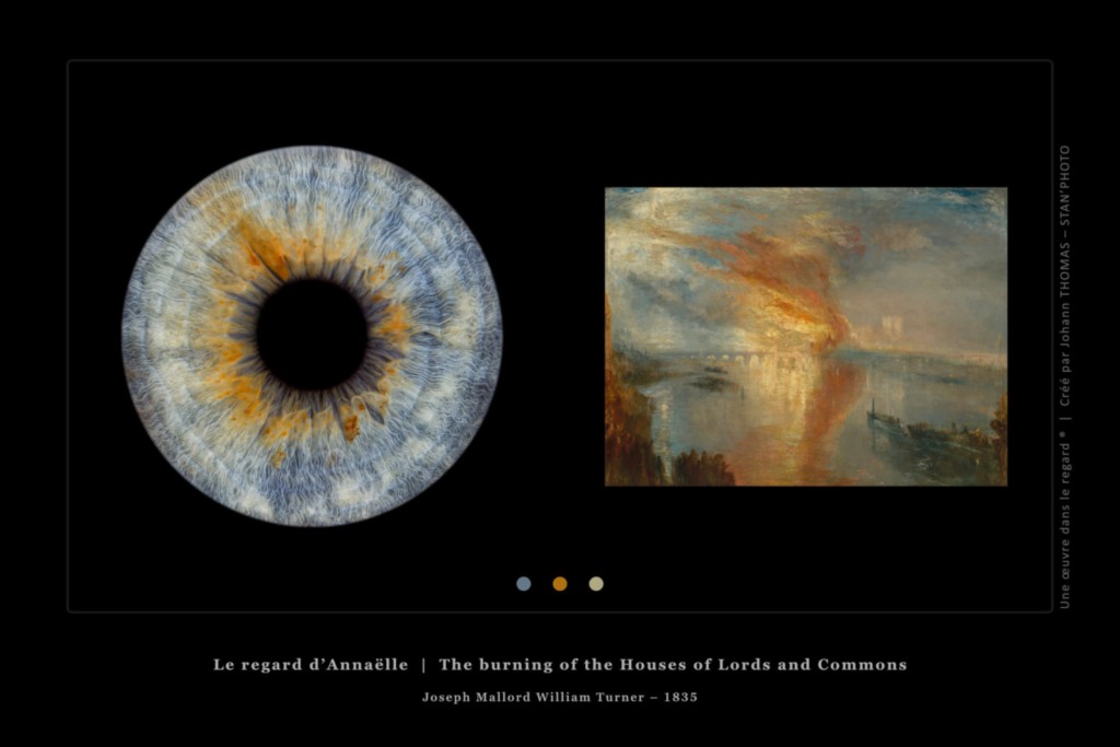 Une œuvre dans le regard © - Iris d'Annaëlle