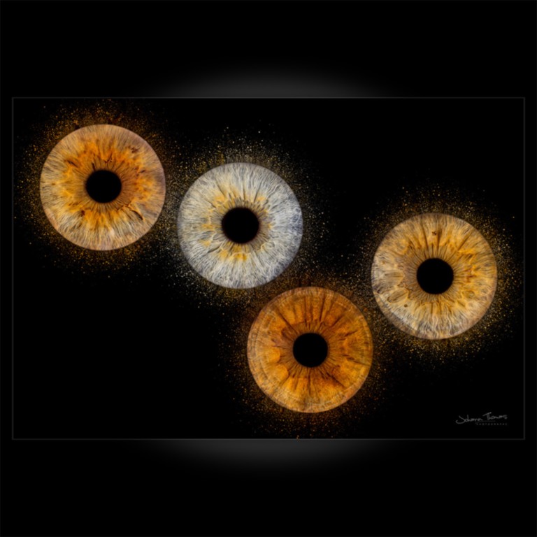 Photo d'iris Quatuor