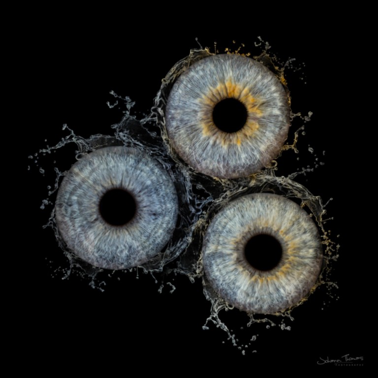 Photo d'iris trio effet splash