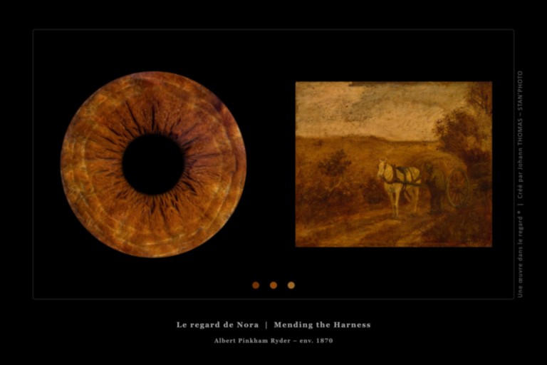 Une œuvre dans le regard © - Iris de Nora