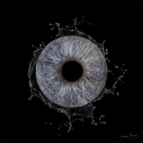 Photo d'iris au studio - Effet splash