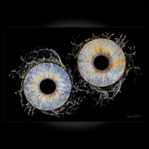 Photo d'iris duo effet splash