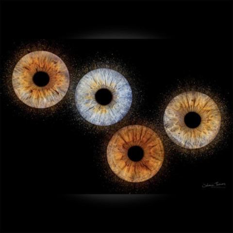Photo d'iris "Quatuor"