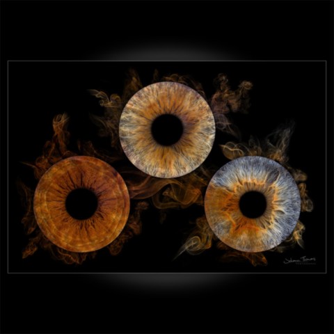Photo d'iris trio effet fumée