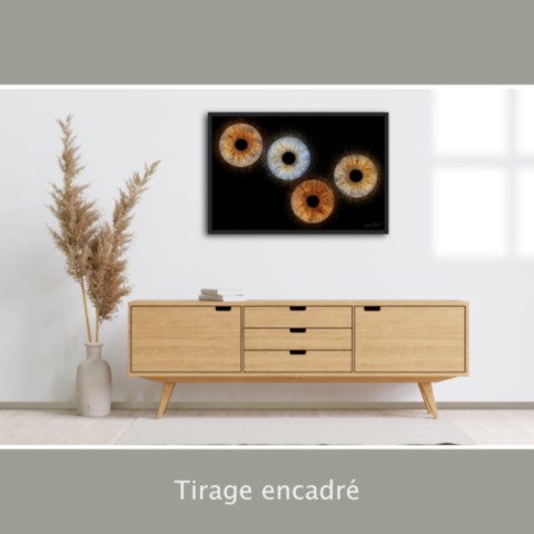 Tirage encadré - portrait d'iris