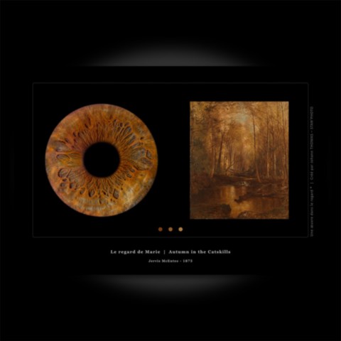 Une oeuvre dans le regard par Johann THOMAS - STAN-PHOTO